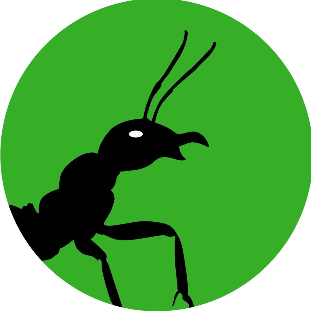 阿韬ANTS(展馆版)