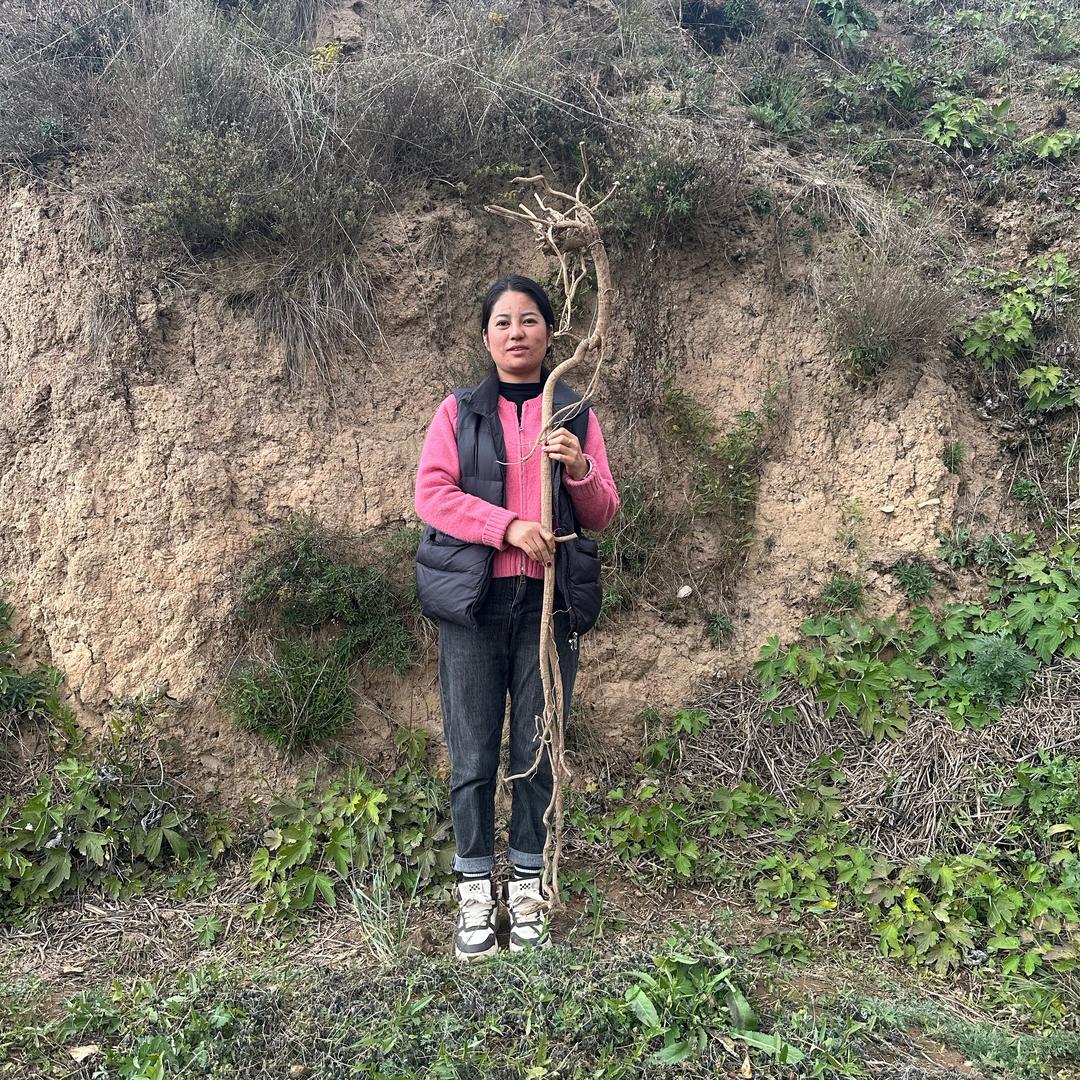 岷县小杜濨补店