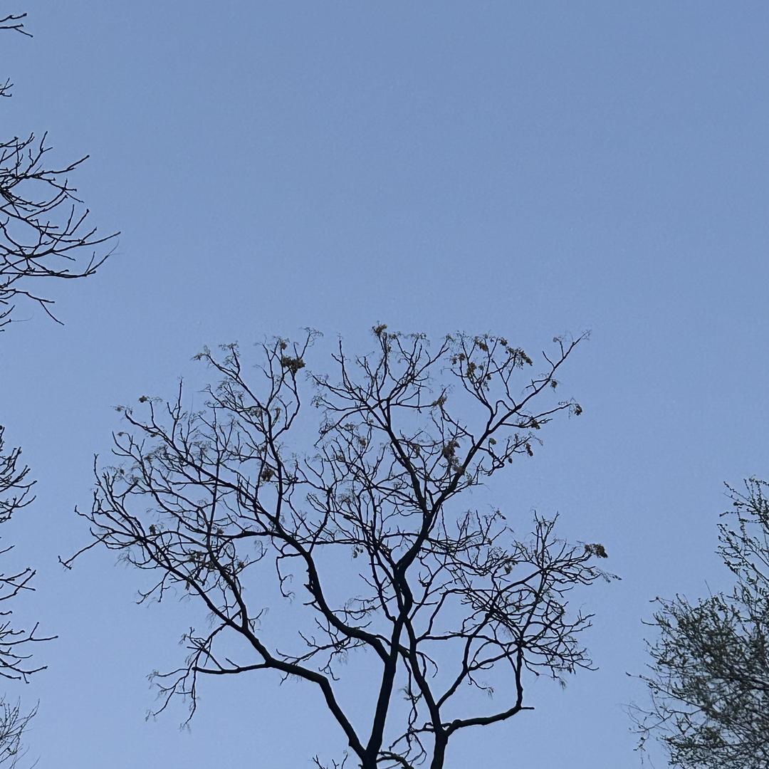 宜城市金可鹏百货店（个体工商户）