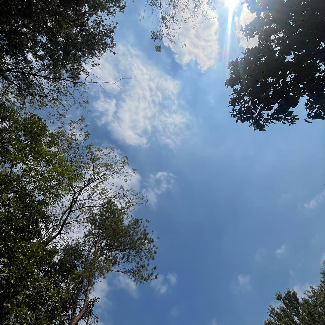 用户8816717407824