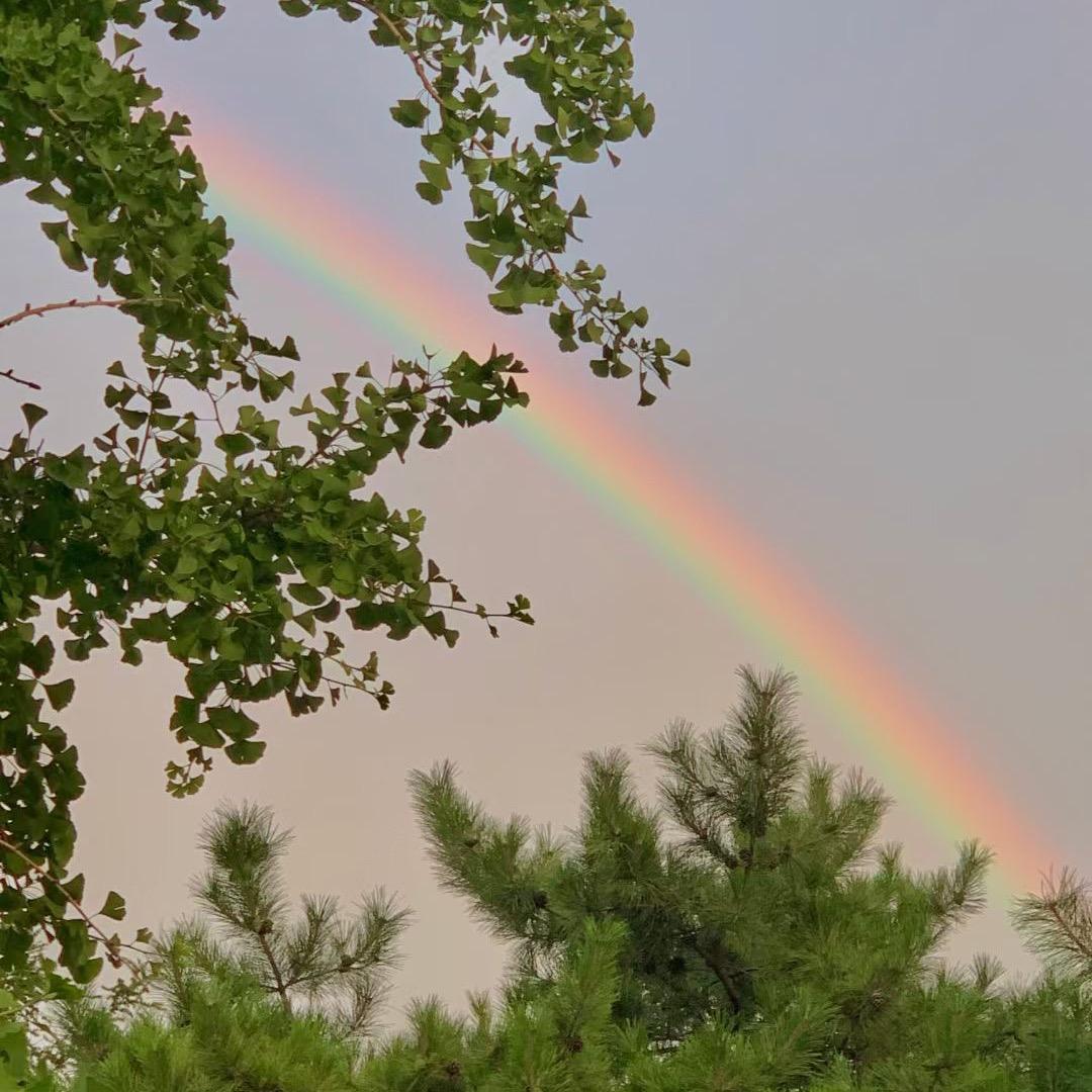 🌈小熊猫真的很可爱🌈头像
