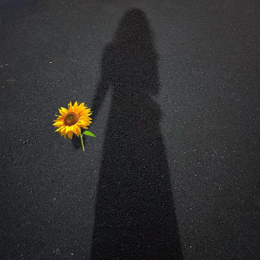 ღꫛ曉缅এۣۖิ雹🍃