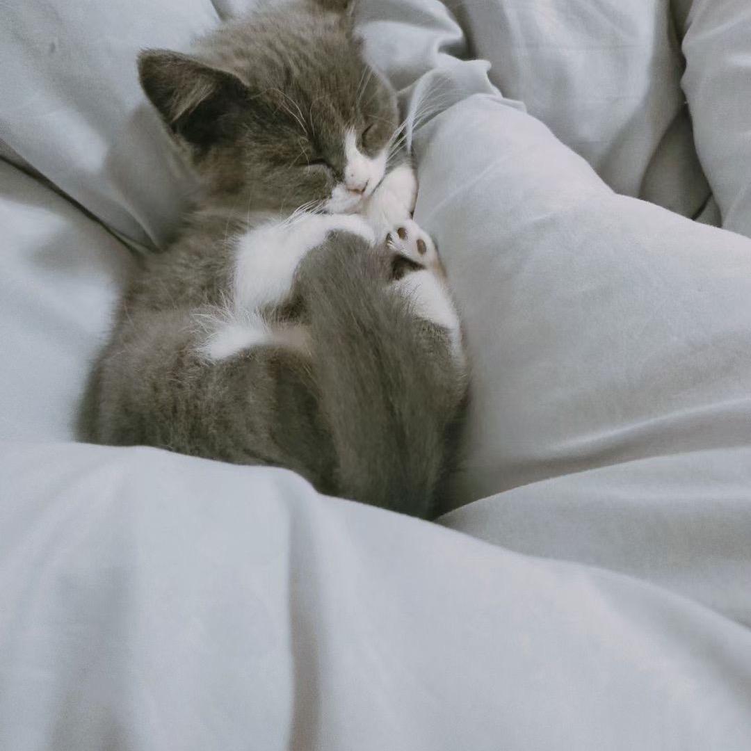 是璐璐呀