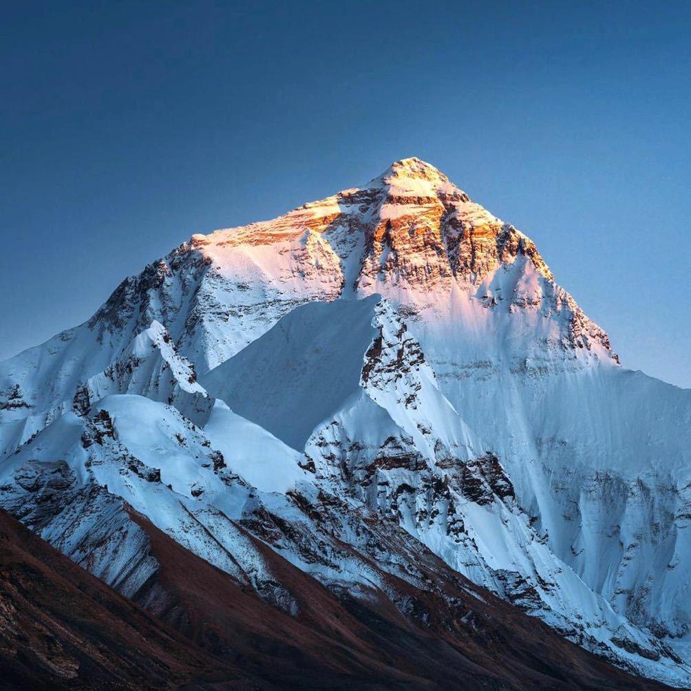 藏维克多📖🖋️🎤🗡️🌿🕶️