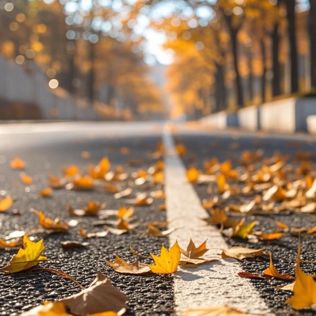 @落叶🍂