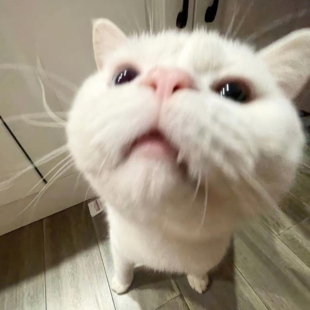 蜡笔小爹、