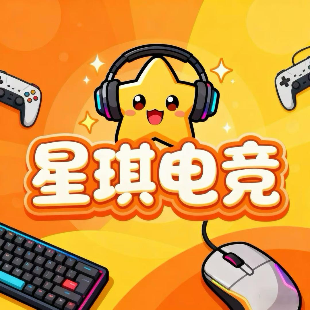 星琪电竞