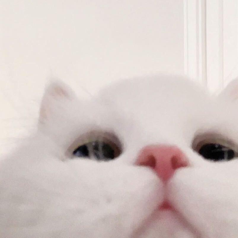 你的命不值钱