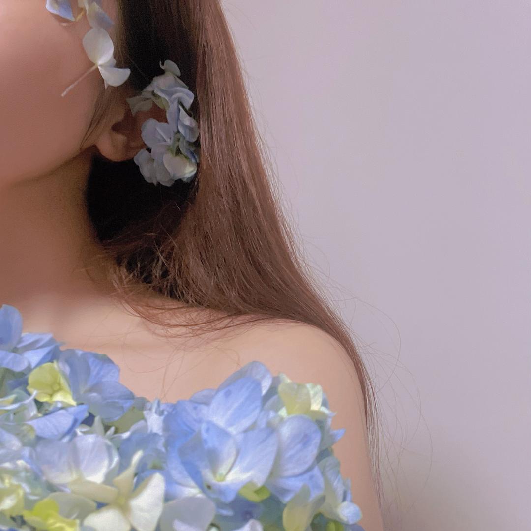 砂糖橙