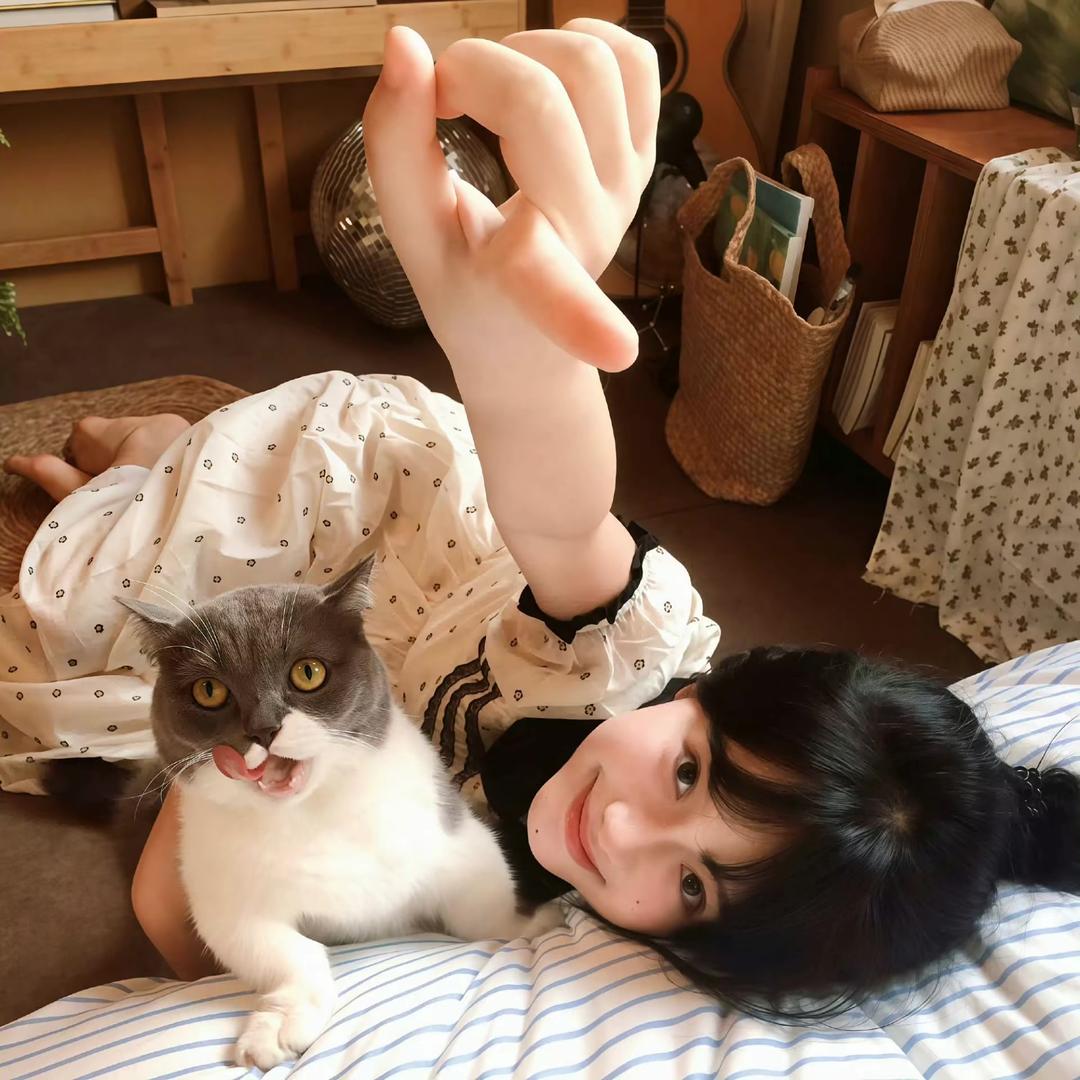 半岛茶