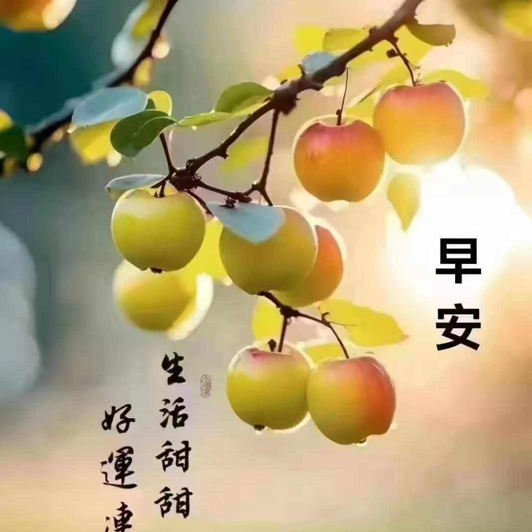 潇洒哥