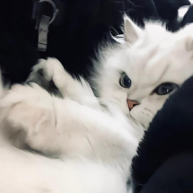 能能百货