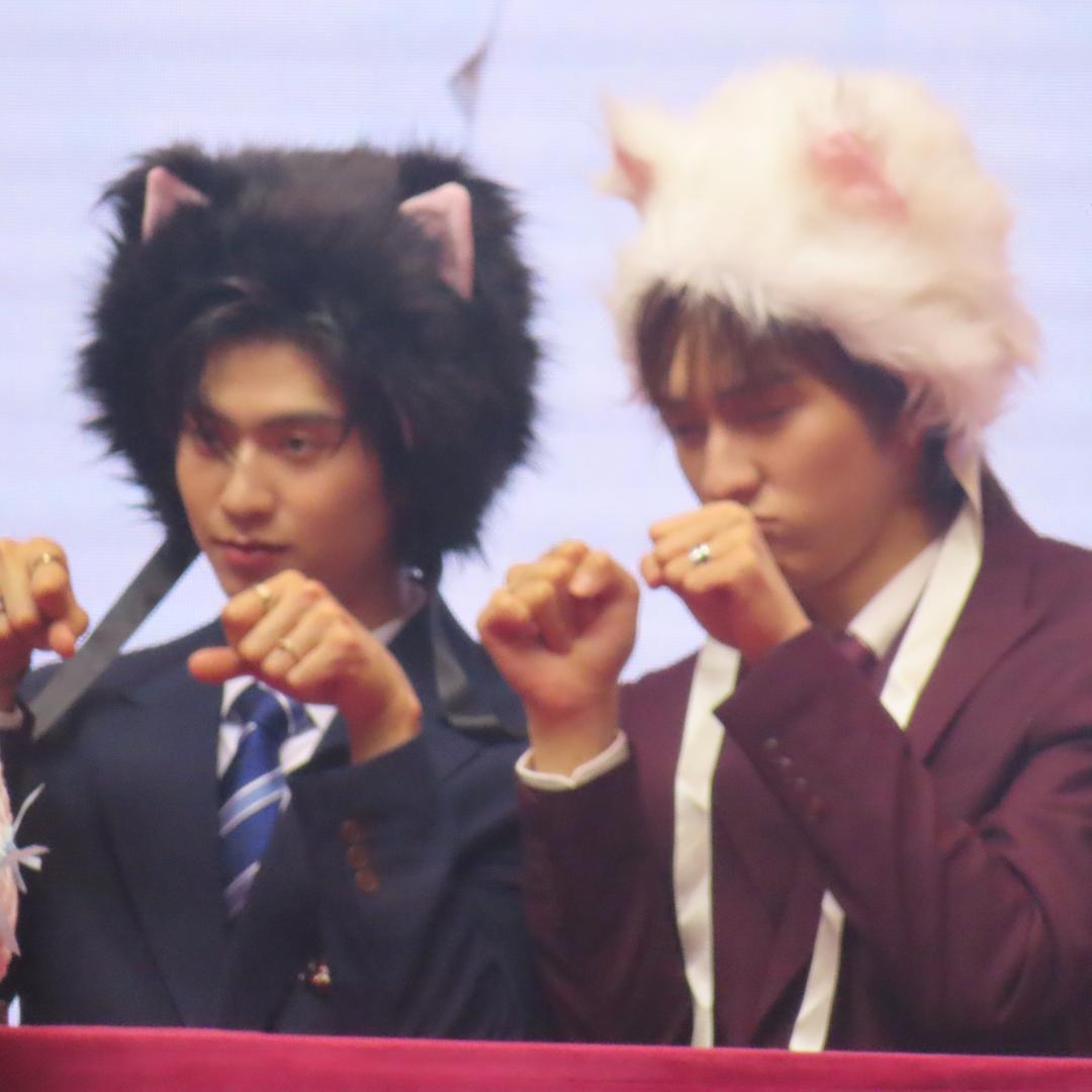 眨眨眼（磕糖版）