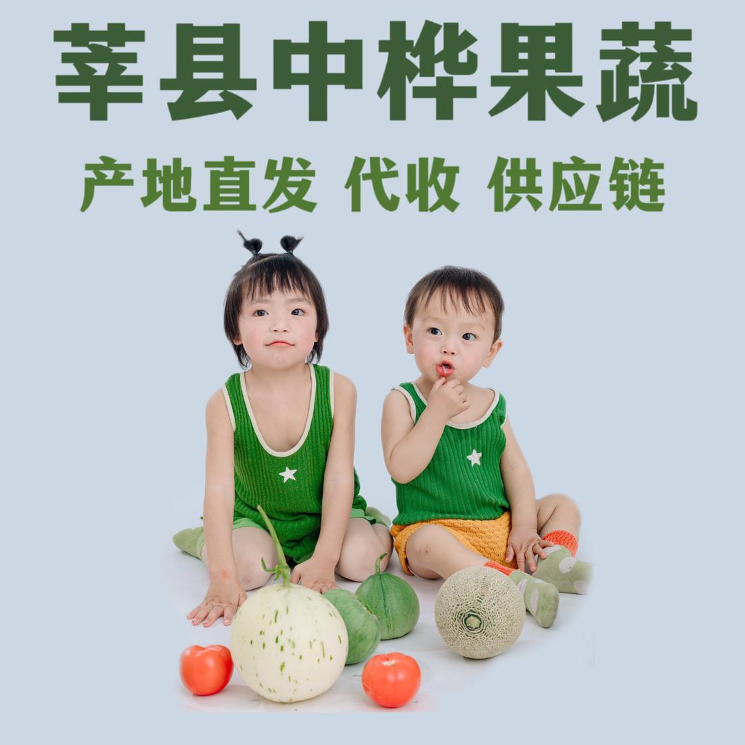 莘县中桦果蔬供应链 代收