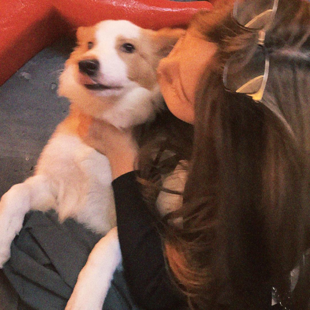 Yim服饰小小小号