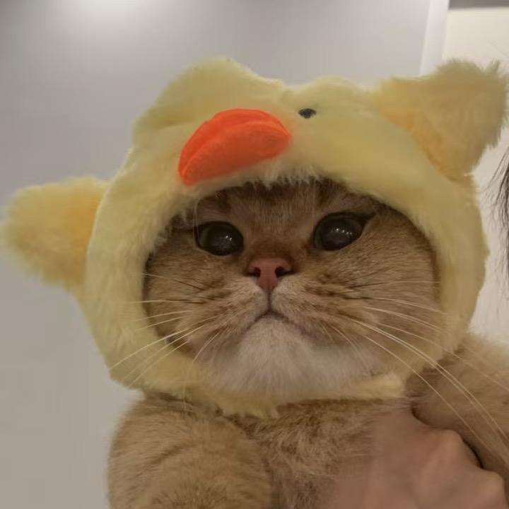 Xin-