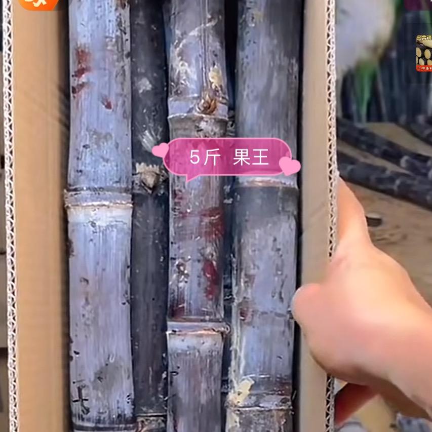 牛牛农场-小牛