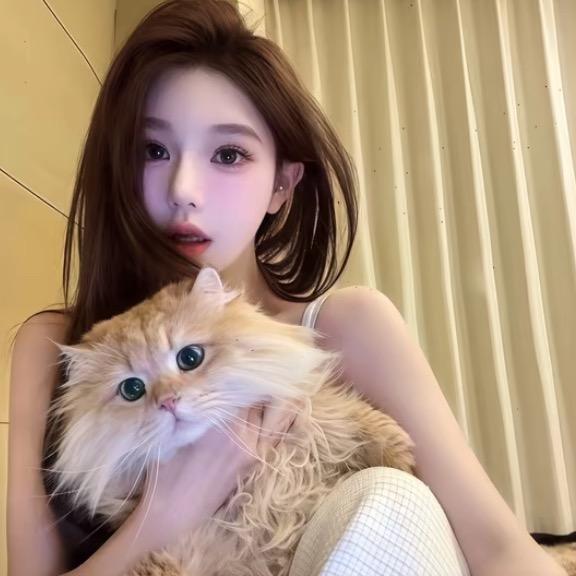 ㅤㅤㅤㅤ ㅤㅤㅤ