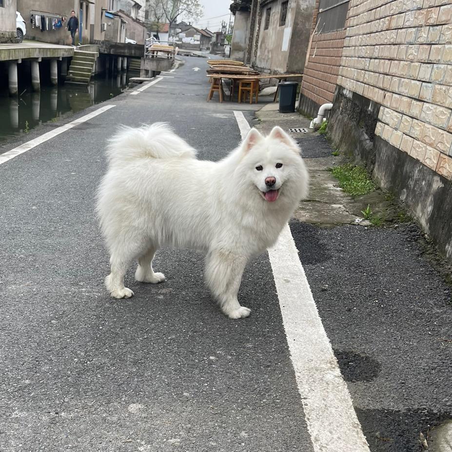 飘飘如梦