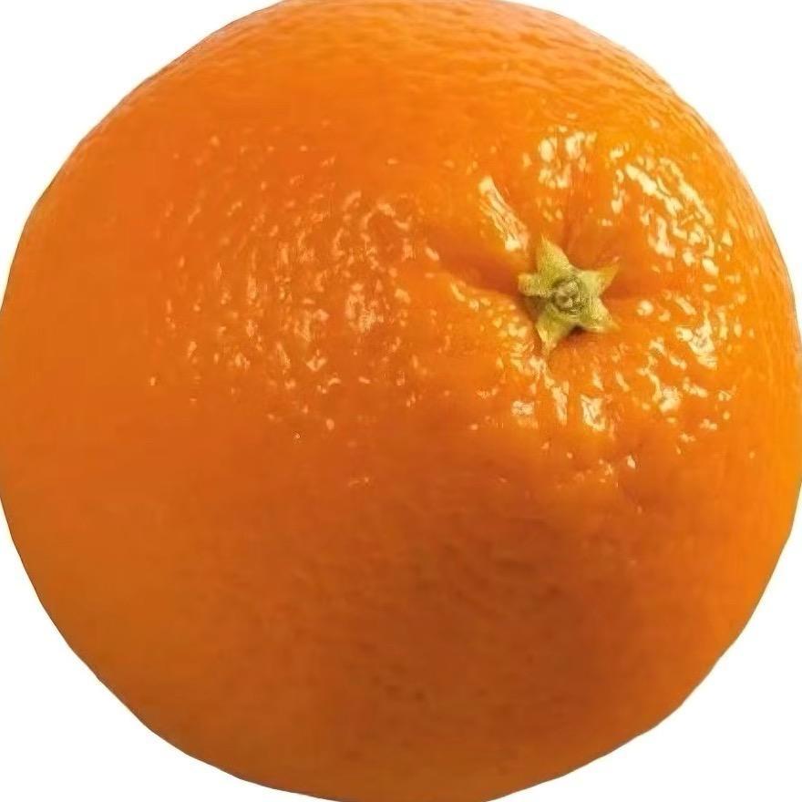 山里