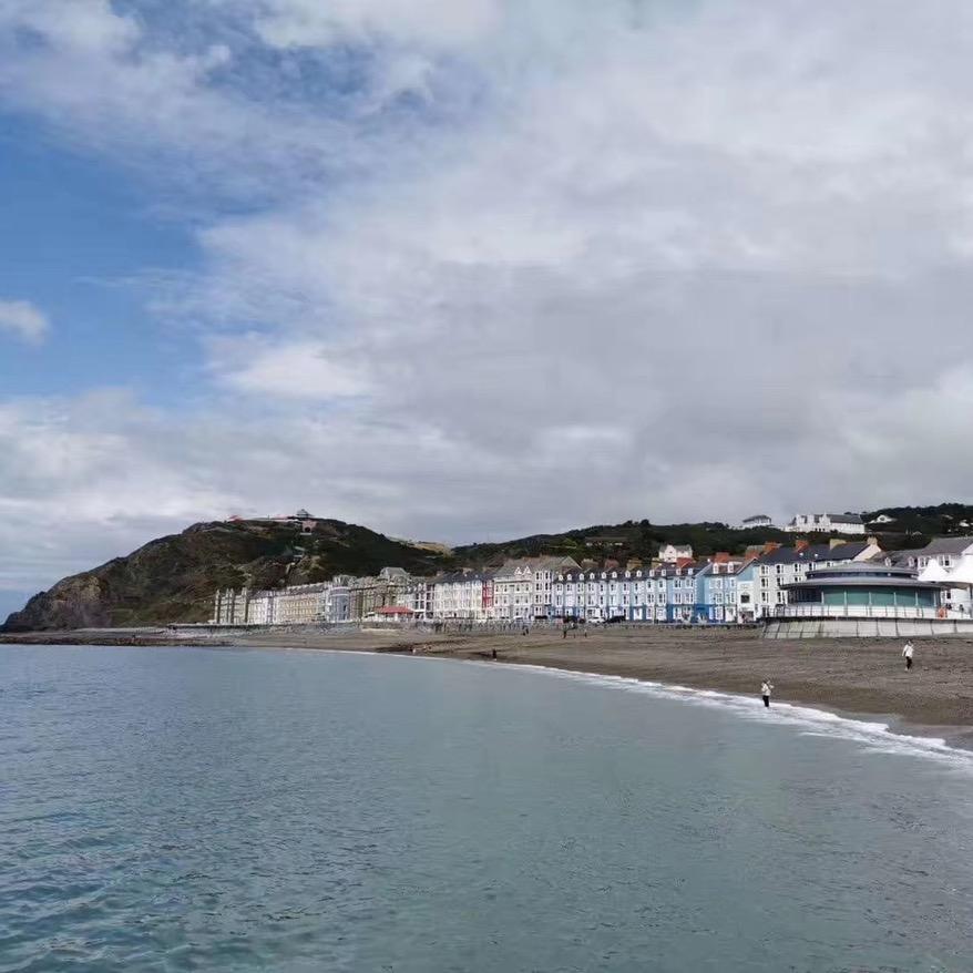 我家的猫真可爱