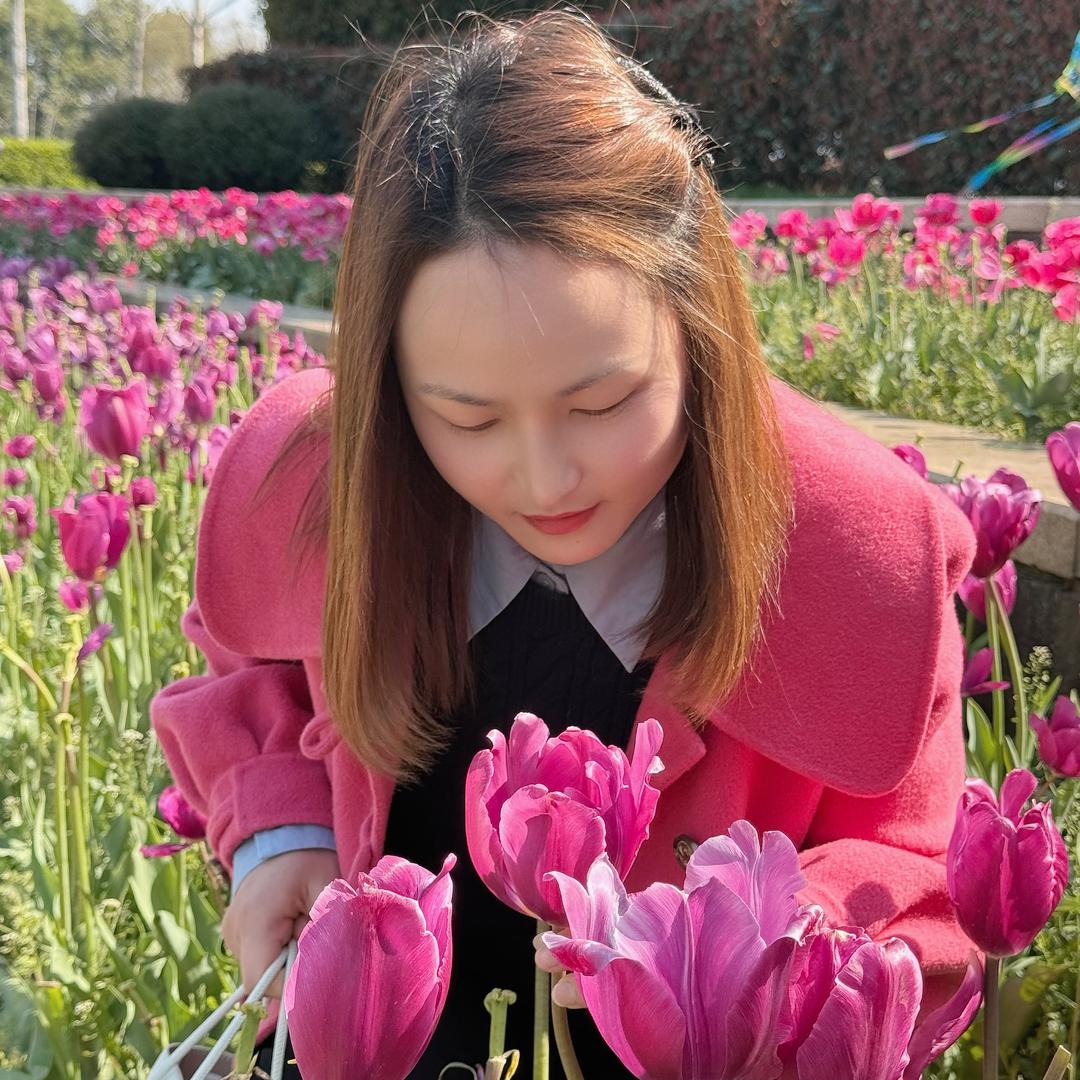 阳关下的花儿