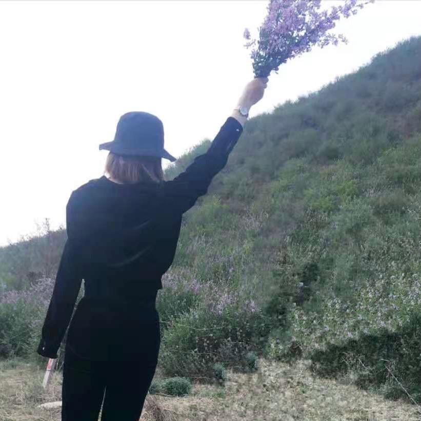 李芳Lf