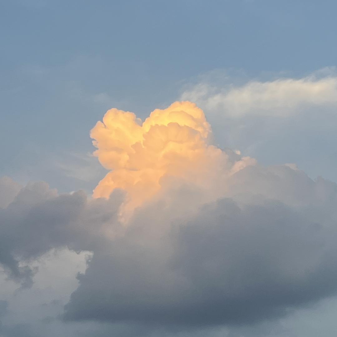 菜菜很奶思🐳🐣