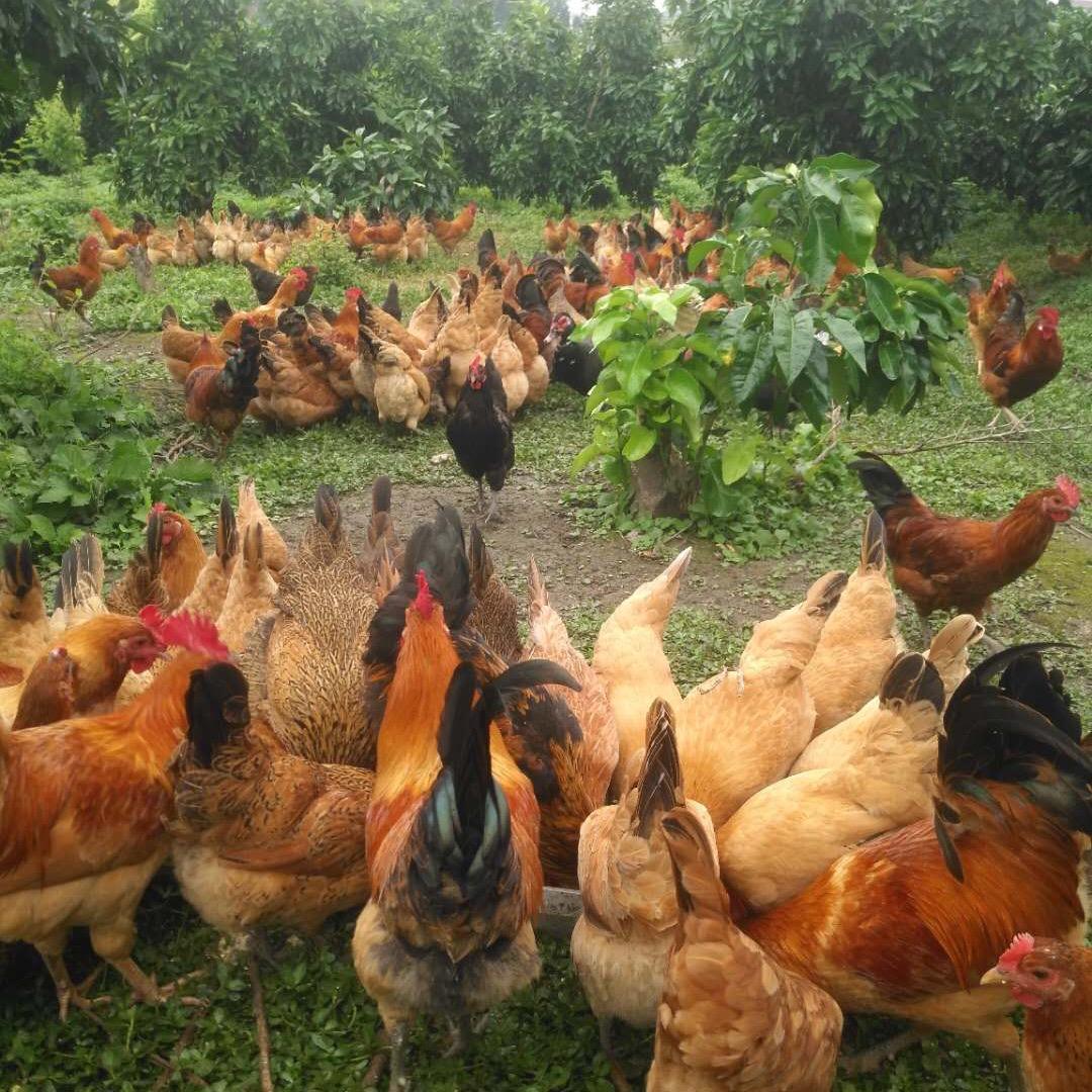 且听风吟，静待花开