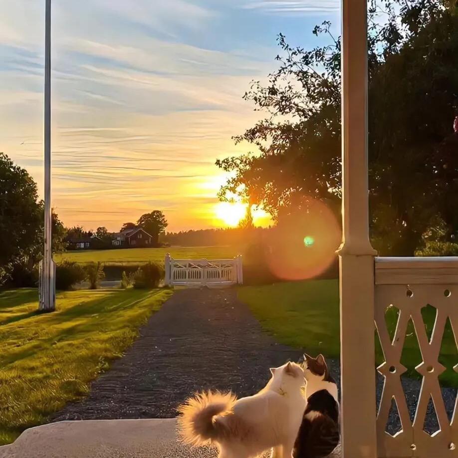 柯珂珂（白殿风好了）