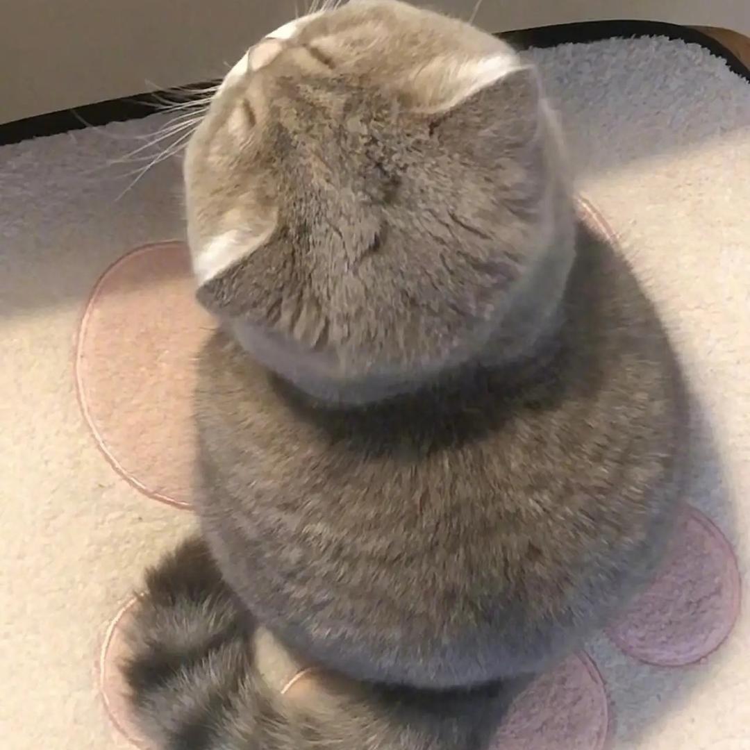 咸蛋黄拌面