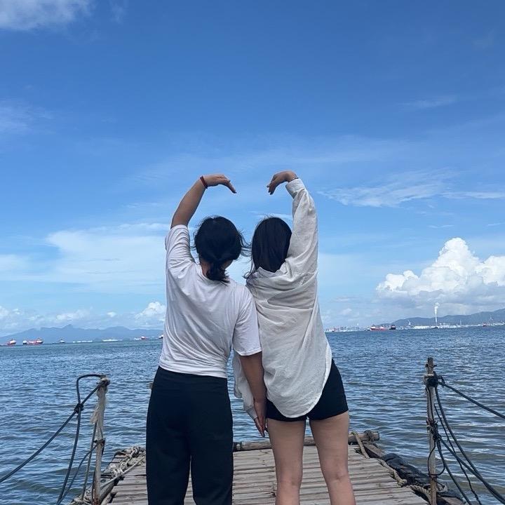 淘淘
