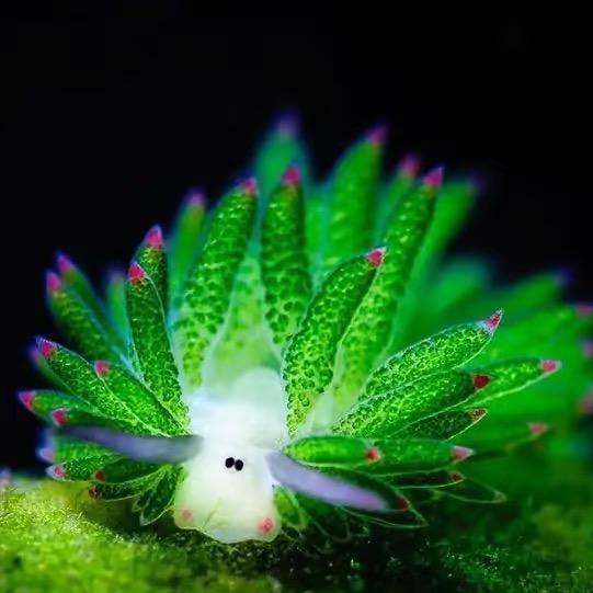 悦海生物农场