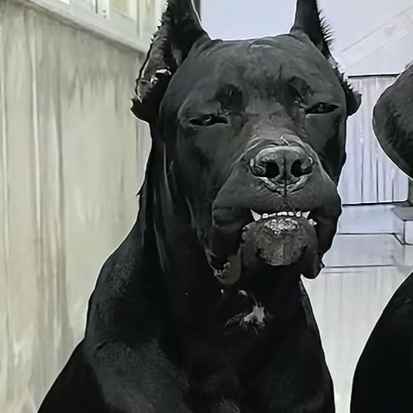 废材