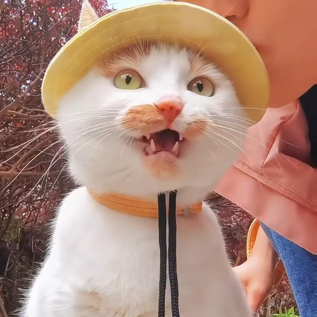 胖丫妈（胖丫和憨包弟弟）