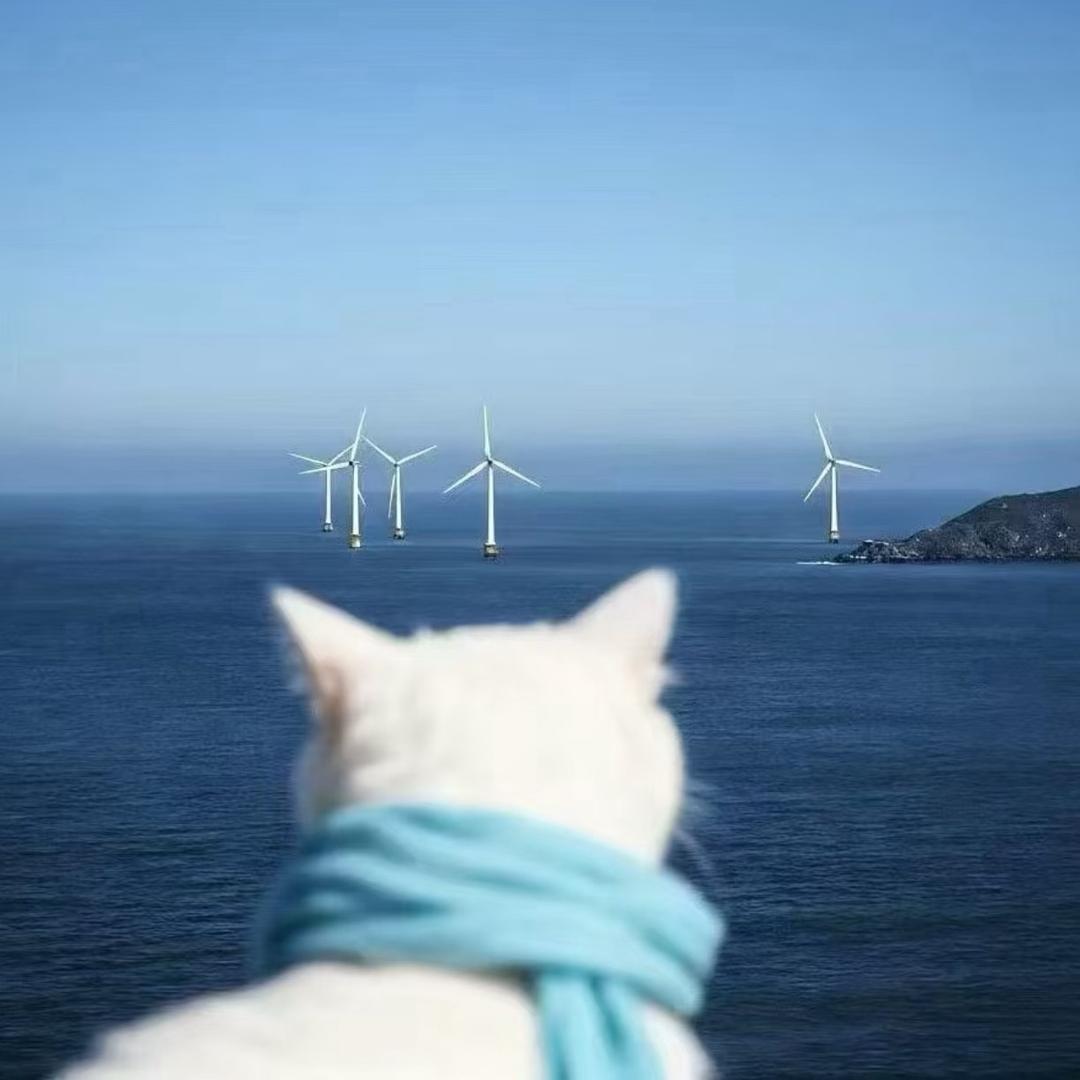 用户 7247967393038