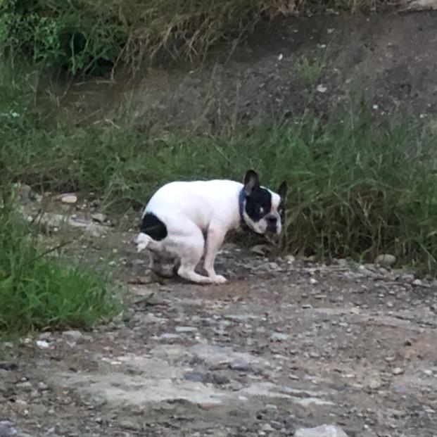 明天 你好