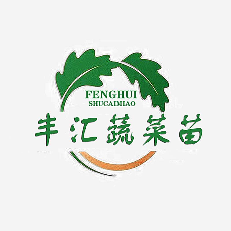 丰汇蔬菜苗