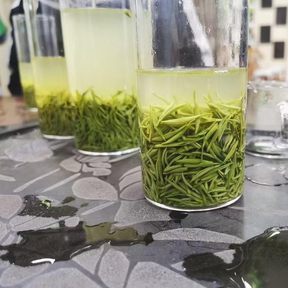 豫起茗香 信阳毛尖🍵