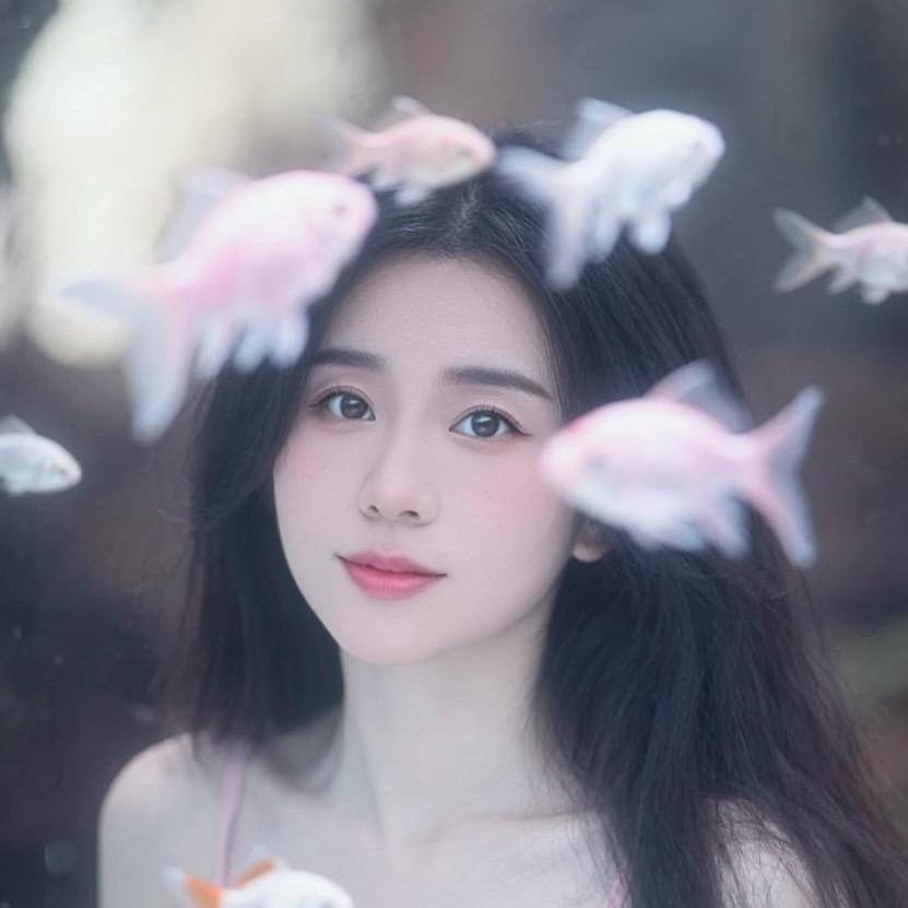 白杨✨