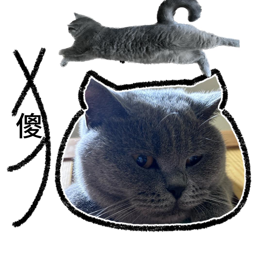 芒芒很忙🐾