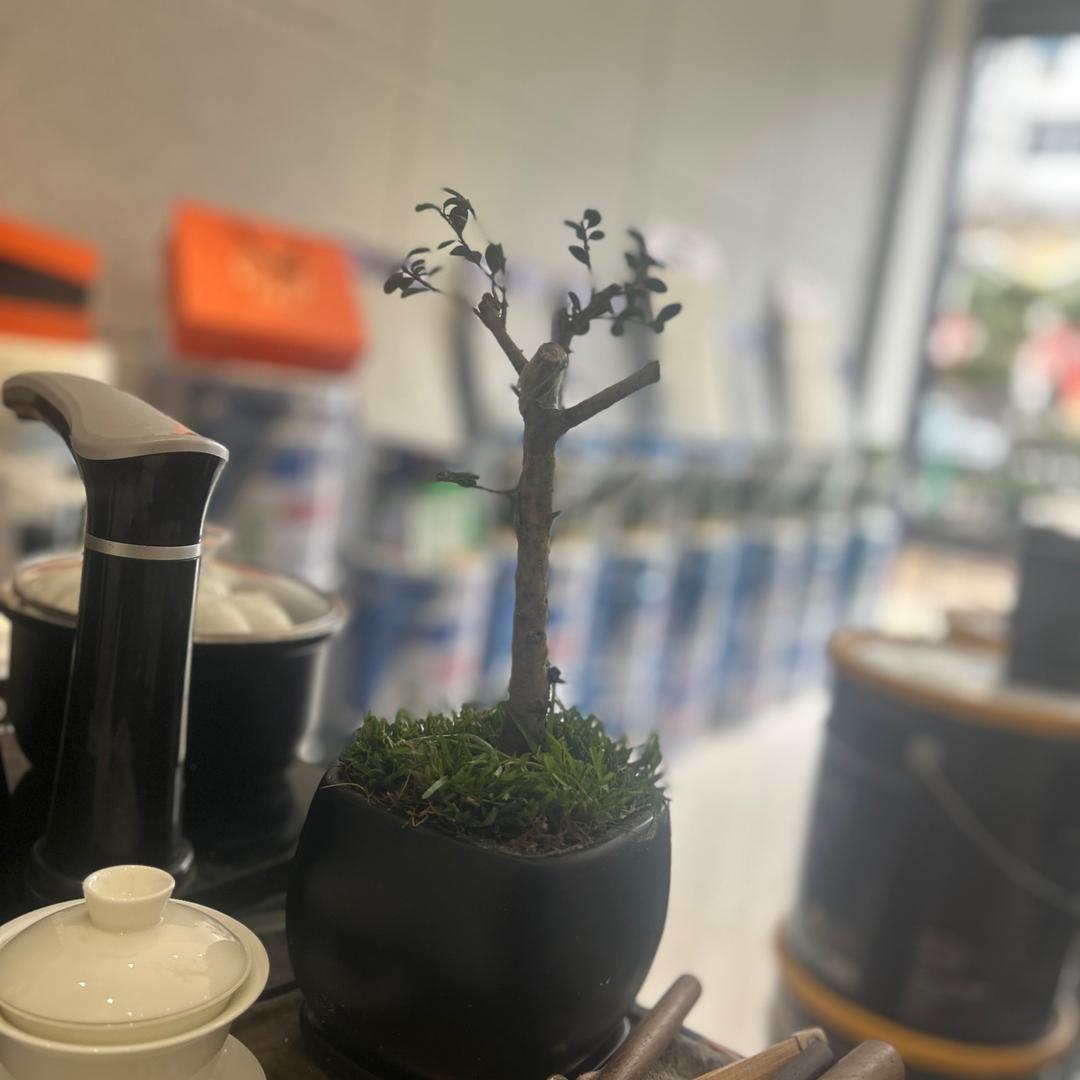 黄平县🇨🇳小杨内外墙涂装