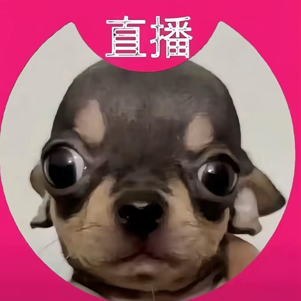 高肌女