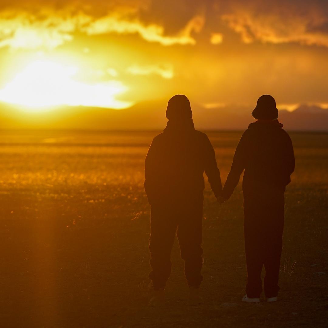 素鸢旧暖化凉温