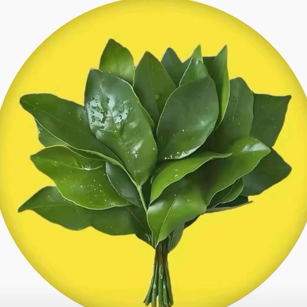 🌹山茶花开在年糕里