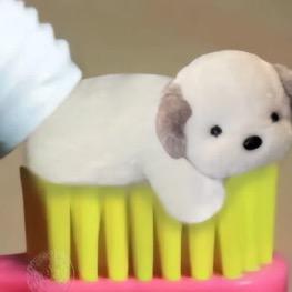 牙膏狗