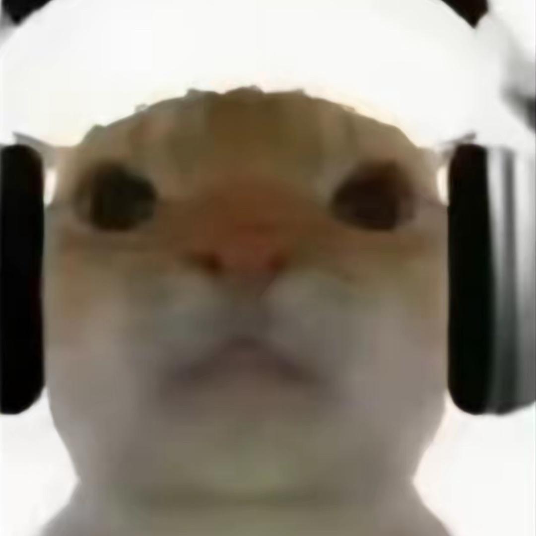 三角洲代跑鼠鼠