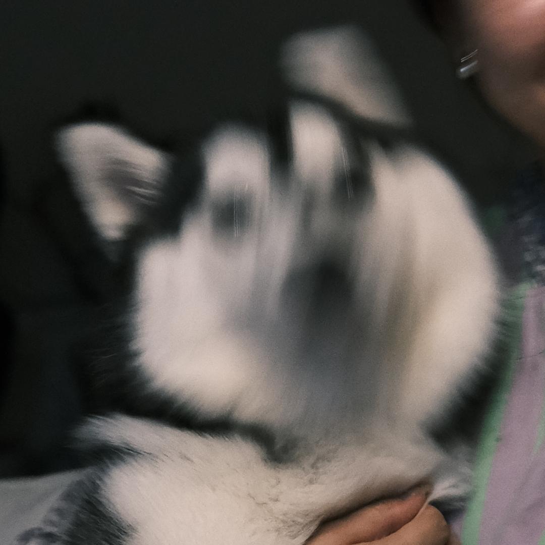 作咩阿