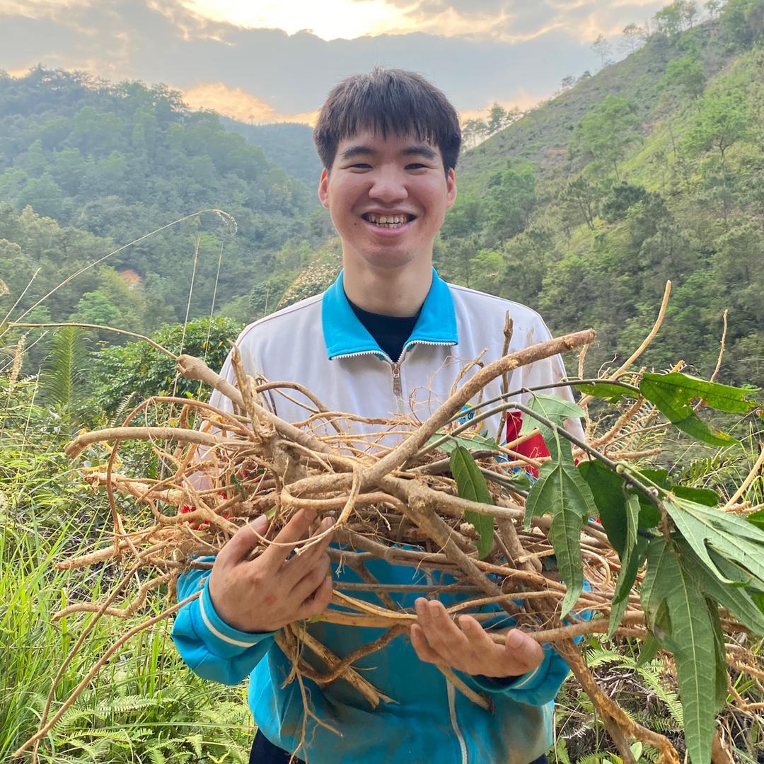 读大三的农村小铧