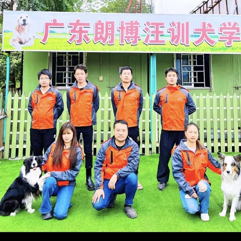 广东朗博汪（狗狗训练）训犬基地